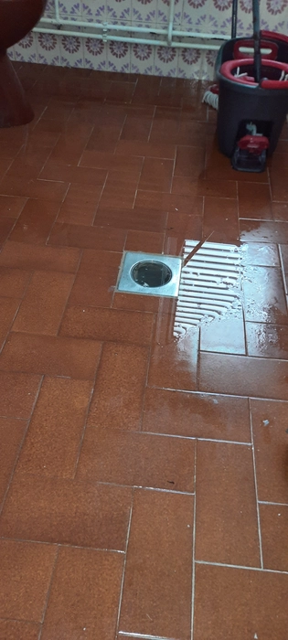 Bathroom floor drain blockage (95176)