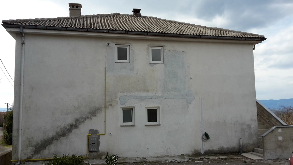 mold growth on house exterior (68196)